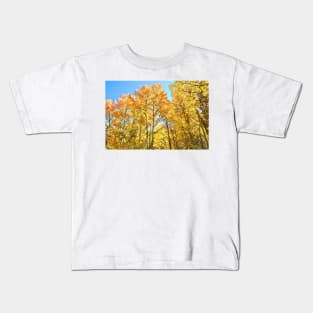 Colorado Aspen Groves and Fall Colors Kids T-Shirt